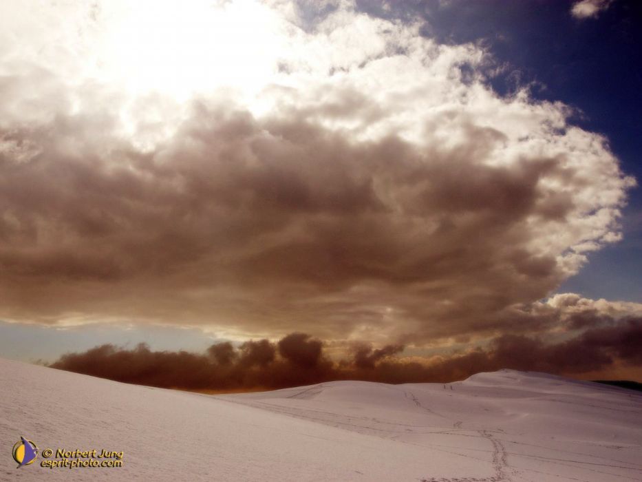 Nom de l'image : D1112129-nef-01-1600pix_(c)Norbert-JUNG — Description :